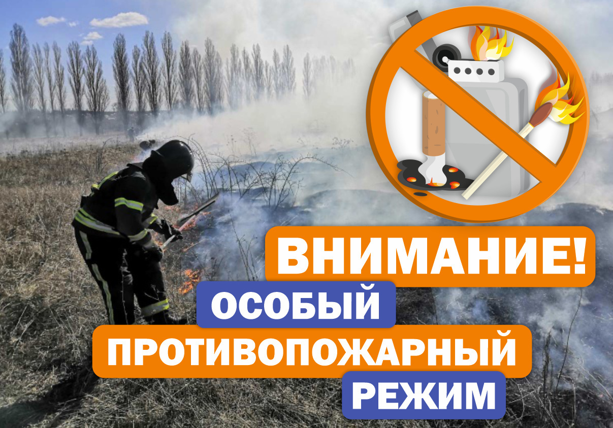 С 01 апреля 2024 года на территории Воронежской области, постановлением Правительства Воронежской области от 28.03.2024 № 200 вводится особый противопожарный режим.